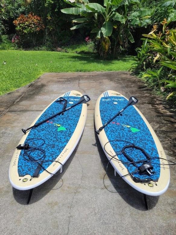 Newly Renovated Condo With Sup Paddle Boards And Golf Clubs Included Kailua-Kona Exterior photo
